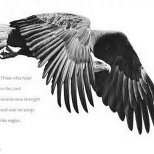 Meet your Posher, Darron